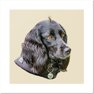 Black Cocker Spaniel Posters and Art